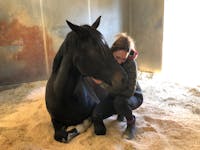 Original reference photo