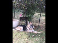 Original reference photo