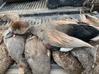 Original reference photo