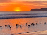 Original reference photo