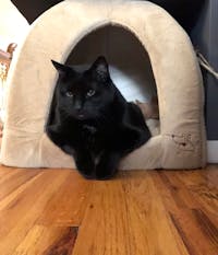 Original reference photo