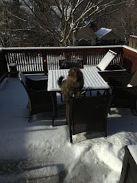 Original reference photo