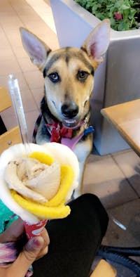 Original reference photo