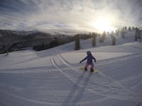 Original reference photo