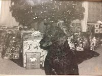 Original reference photo