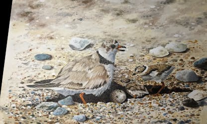 A mother bird with chicks and an egg next to her painted in oil on canvas