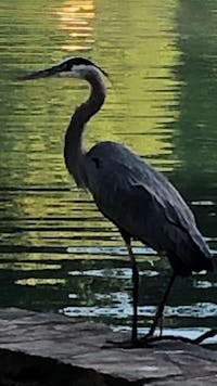 Original reference photo