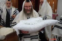 Original reference photo