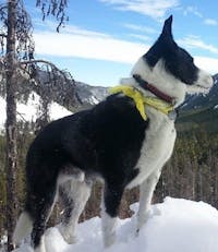 Original reference photo