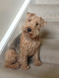 Original reference photo