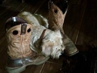 Original reference photo