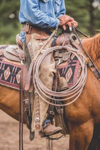 Original reference photo