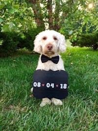 Original reference photo