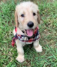 Original reference photo