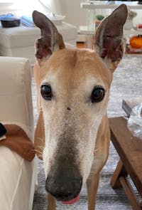 Original reference photo