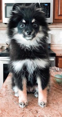 Original reference photo