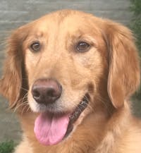 Original reference photo