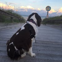 Original reference photo