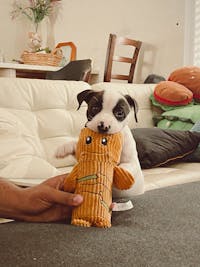 Original reference photo