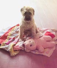 Original reference photo