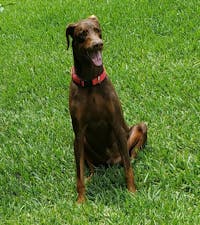 Original reference photo