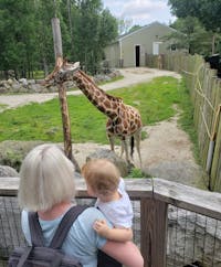 Original reference photo