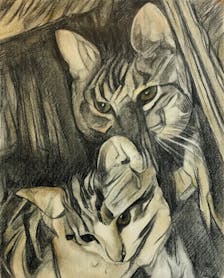 Colored pencil drawing of two cats in the style of Nude Descending a Staircase by Marcel Duchamp