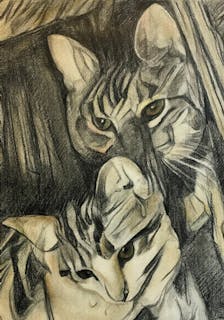 Colored pencil drawing of two cats in the style of Nude Descending a Staircase by Marcel Duchamp