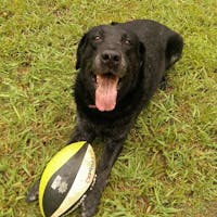 Original reference photo