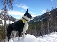 Original reference photo