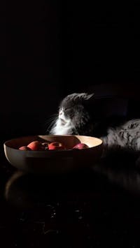 Original reference photo