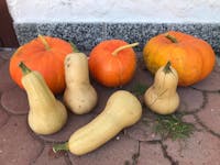 Original reference photo