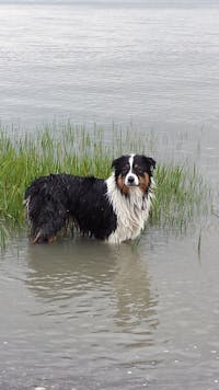 Original reference photo