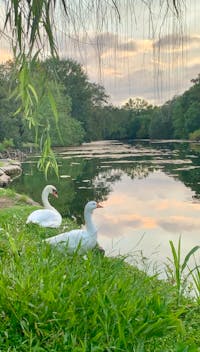 Original reference photo