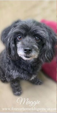 Original reference photo