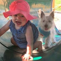 Original reference photo