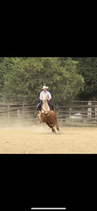 Original reference photo