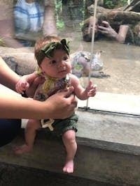 Original reference photo