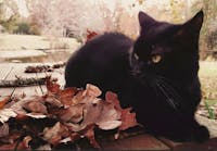 Original reference photo