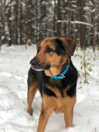 Original reference photo