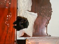 Original reference photo