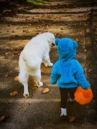 Original reference photo