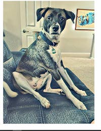 Original reference photo