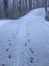 Original reference photo