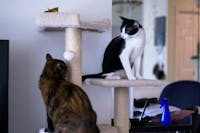 Original reference photo