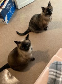 Original reference photo