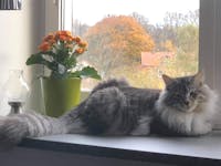 Original reference photo