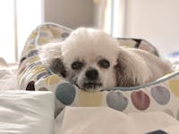 Original reference photo