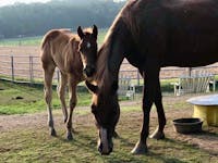 Original reference photo