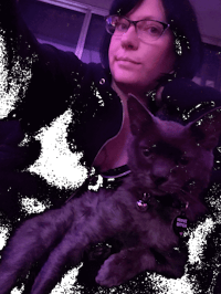 Original reference photo